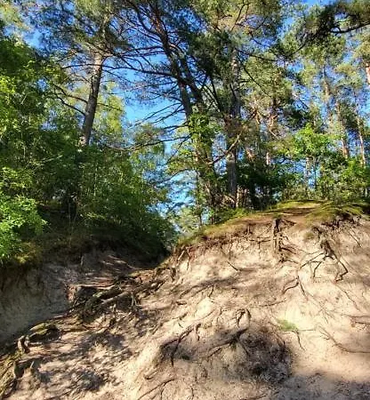 Bursztynowy