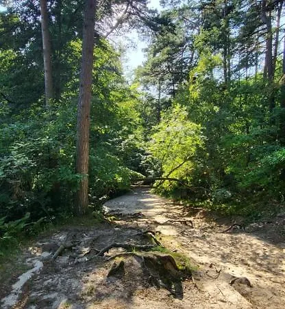 Bursztynowy Διαμέρισμα