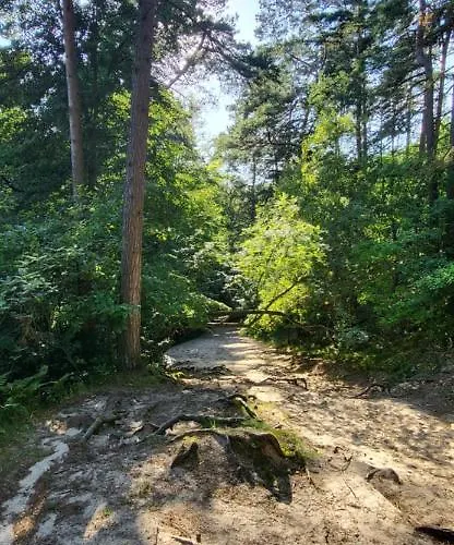 Bursztynowy Апартаменты