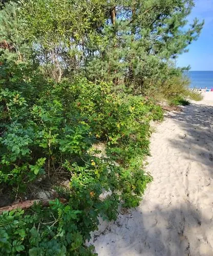 Апартаменты Bursztynowy *